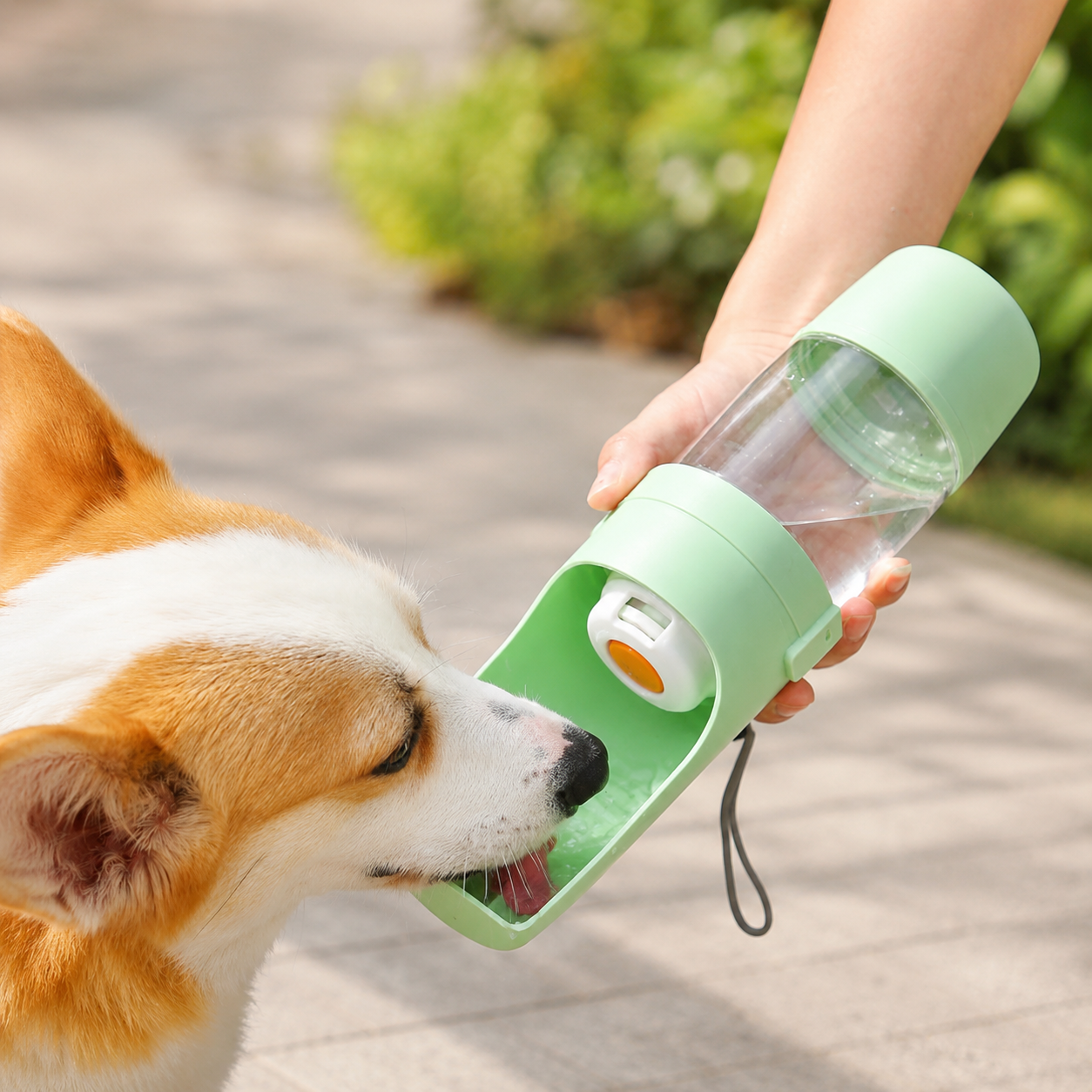 2-in-1 Dog Water Bottle, Portable Travel Feeder with Food Storage
