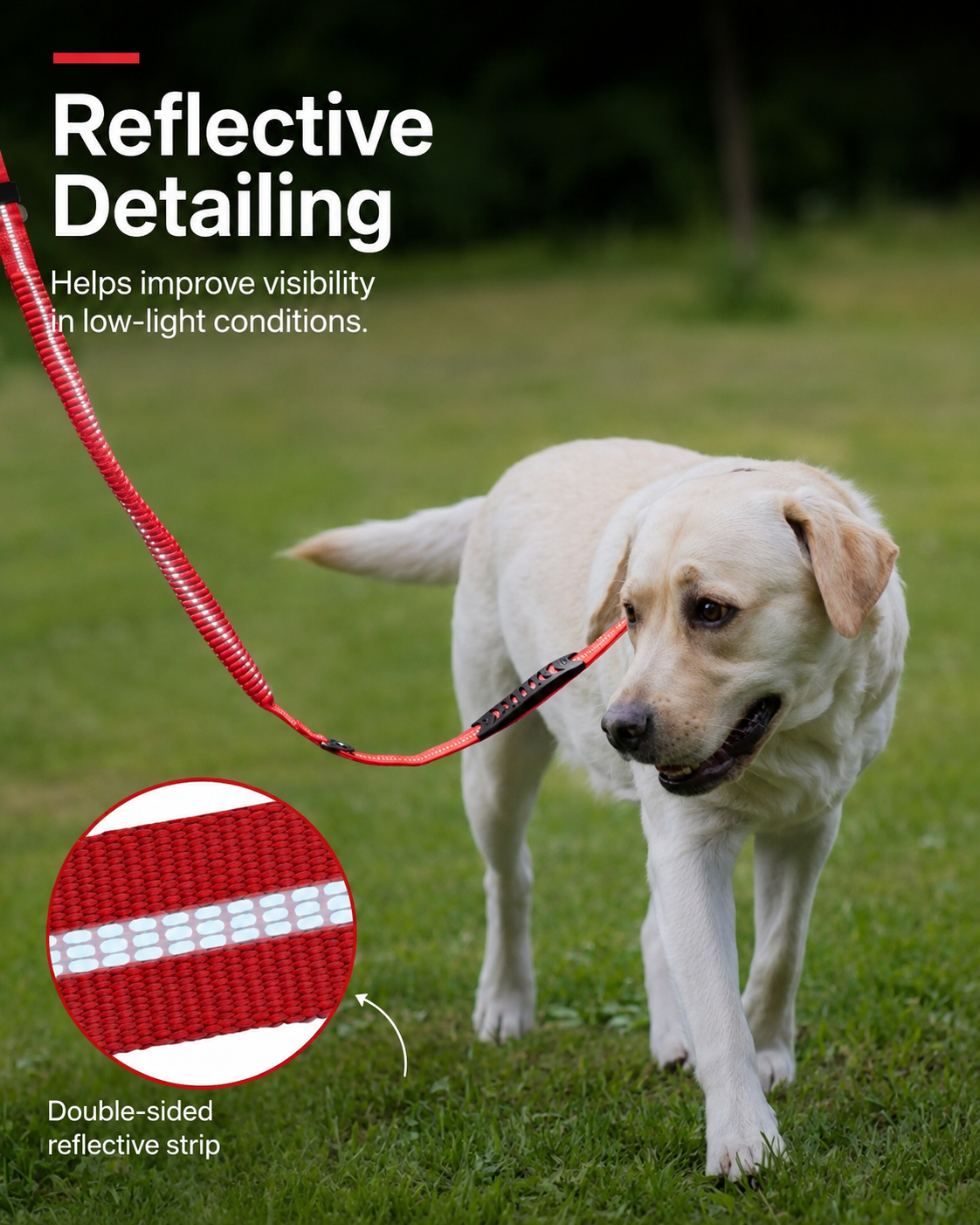 Heavy-Duty Bungee Dog Leash, Shock-Absorbing with 2 Padded Handles
