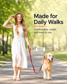 Heavy-Duty Bungee Dog Leash, Shock-Absorbing with 2 Padded Handles
