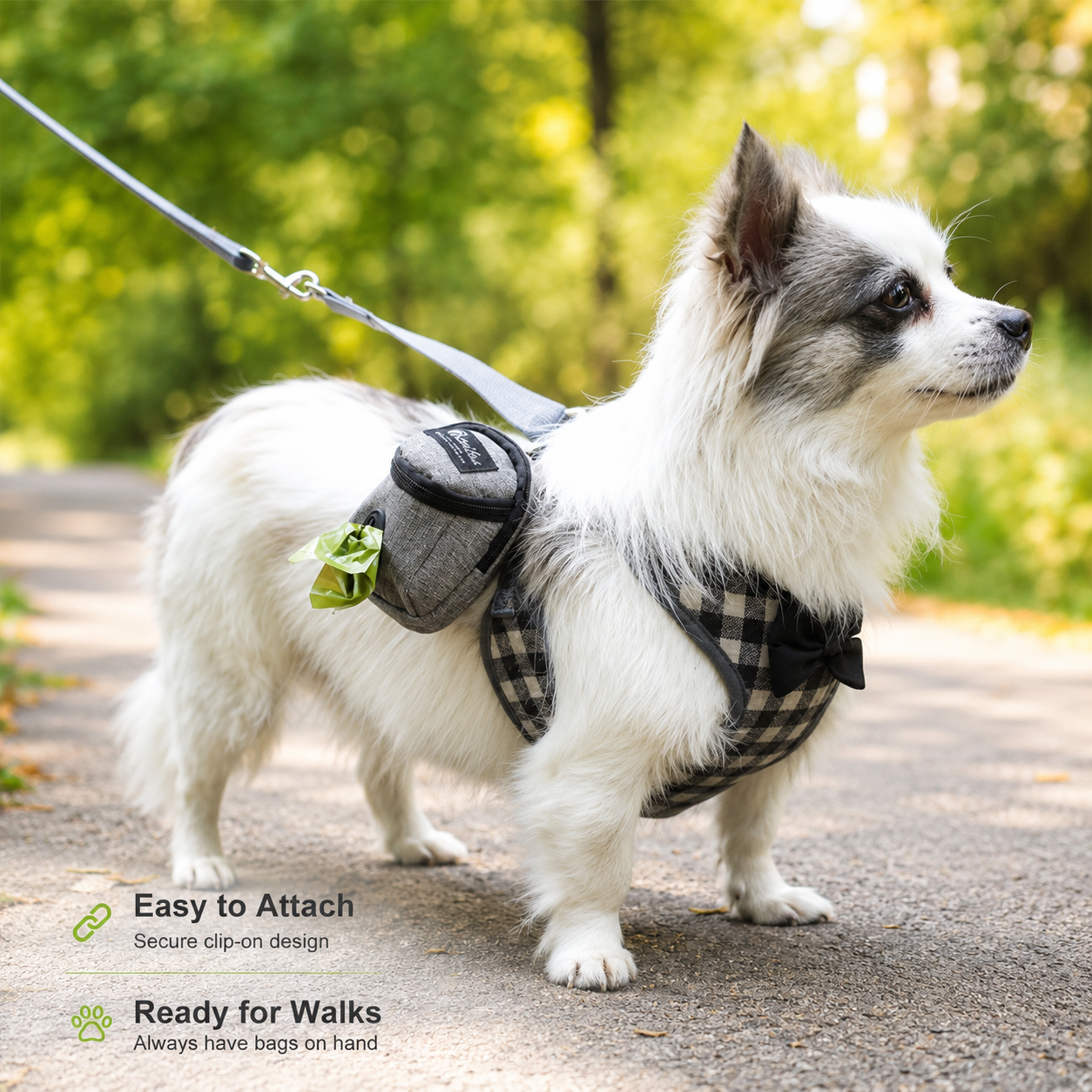 Walking essentials