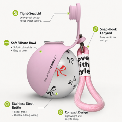 Travel Water Bottle