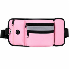 Dog Treat Pouch, Portable Training & Walking Belt Bag