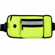 Dog Treat Pouch, Portable Training & Walking Belt Bag